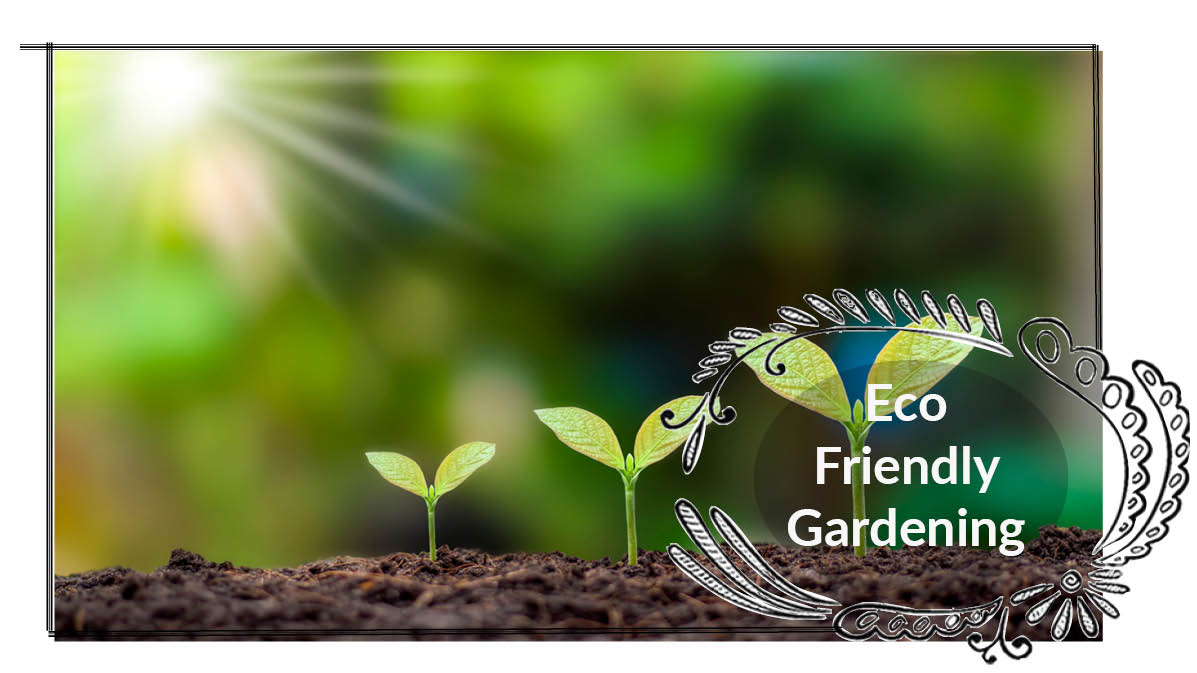 Eco Friendly Gardening