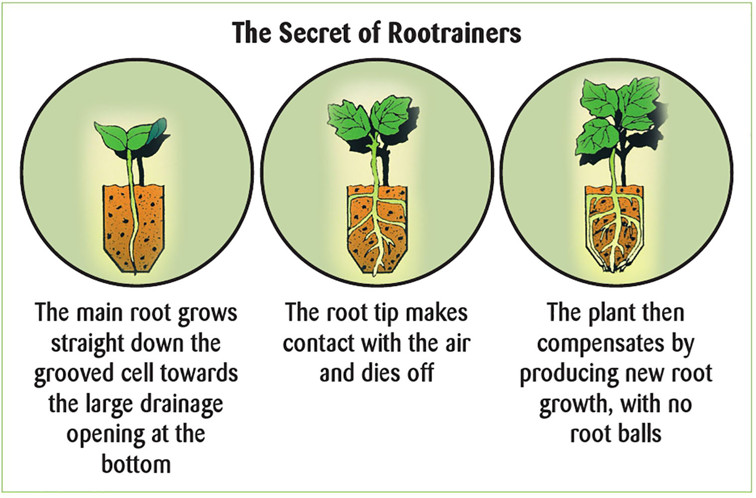The Secret of Rootrainers The Secret of Root Trainers
