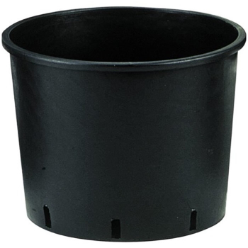 Bassa Container Pots Bassa Container Pots