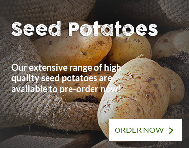 Promo_SeedPotatoes Promo_SeedPotatoes