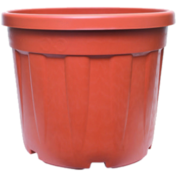 Fenice Pot - Terracotta Fenice Pot - Terracotta