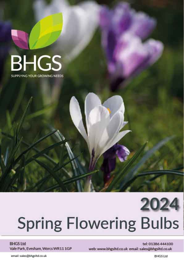 Click here for Spring Flowering Bulbs Brochure