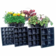 6 Cell Pack 6 Cell Pack